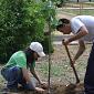 Trabajo en equipo